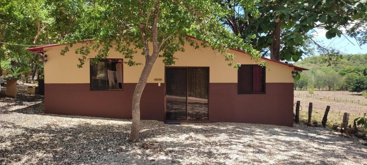Villa De Los Monos Matapalo  Buitenkant foto
