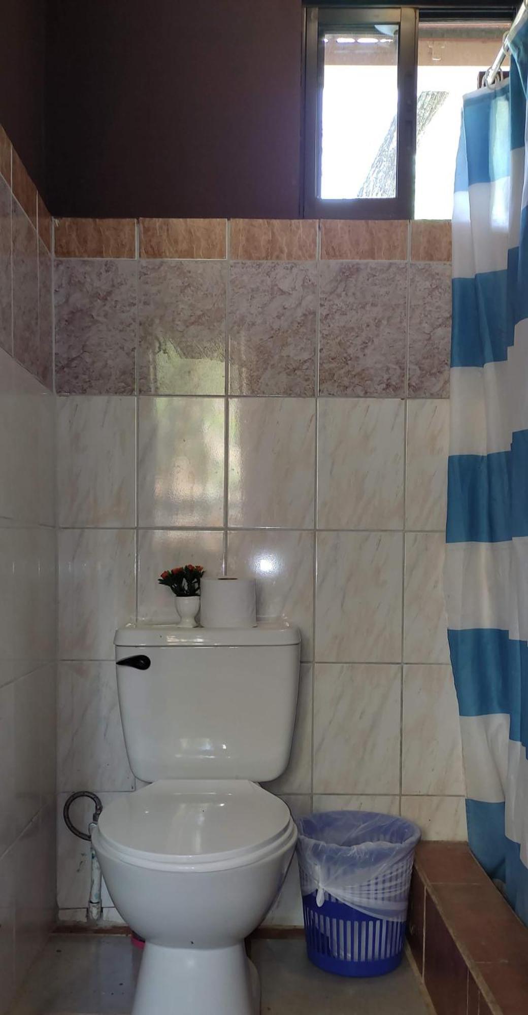 Villa De Los Monos Matapalo  Kamer foto