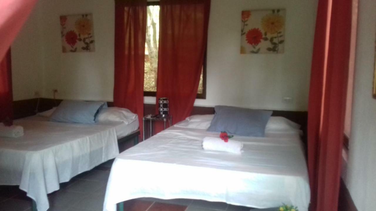 Villa De Los Monos Matapalo  Buitenkant foto