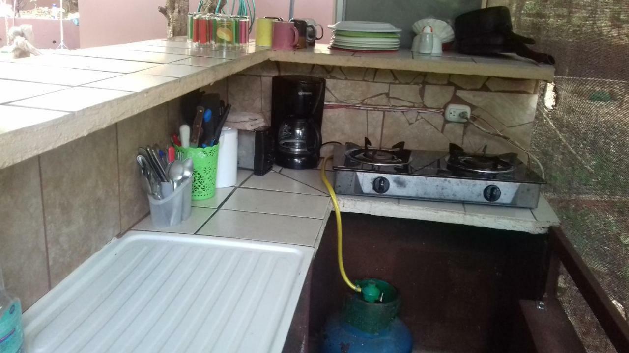 Villa De Los Monos Matapalo  Buitenkant foto