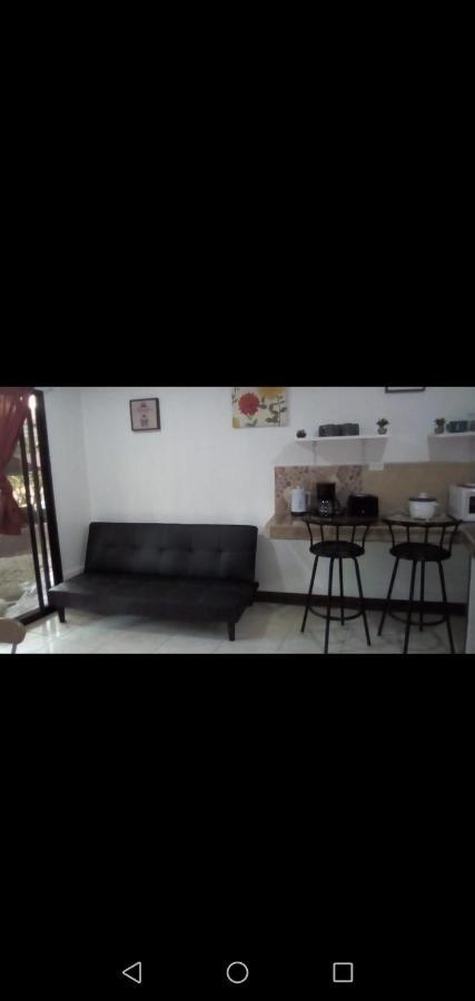 Villa De Los Monos Matapalo  Buitenkant foto